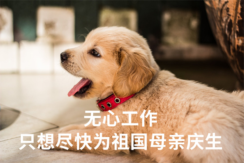 亚洲性夜色九九九久久久