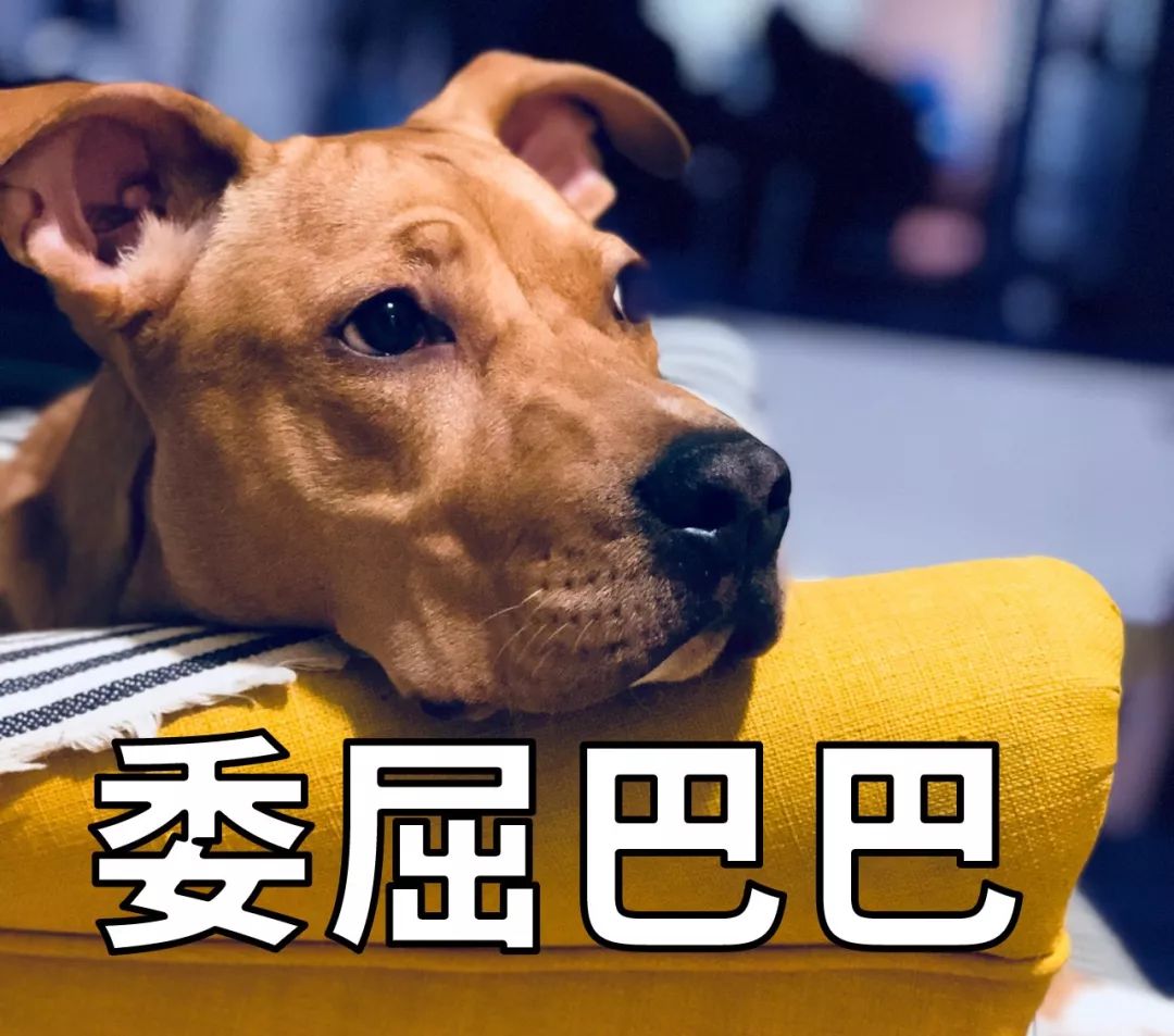亚洲性夜色九九九久久久