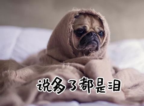 亚洲性夜色九九九久久久
