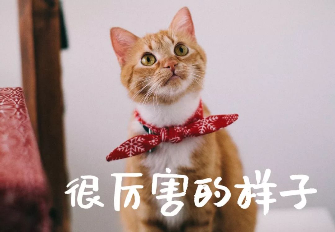 亚洲性夜色九九九久久久