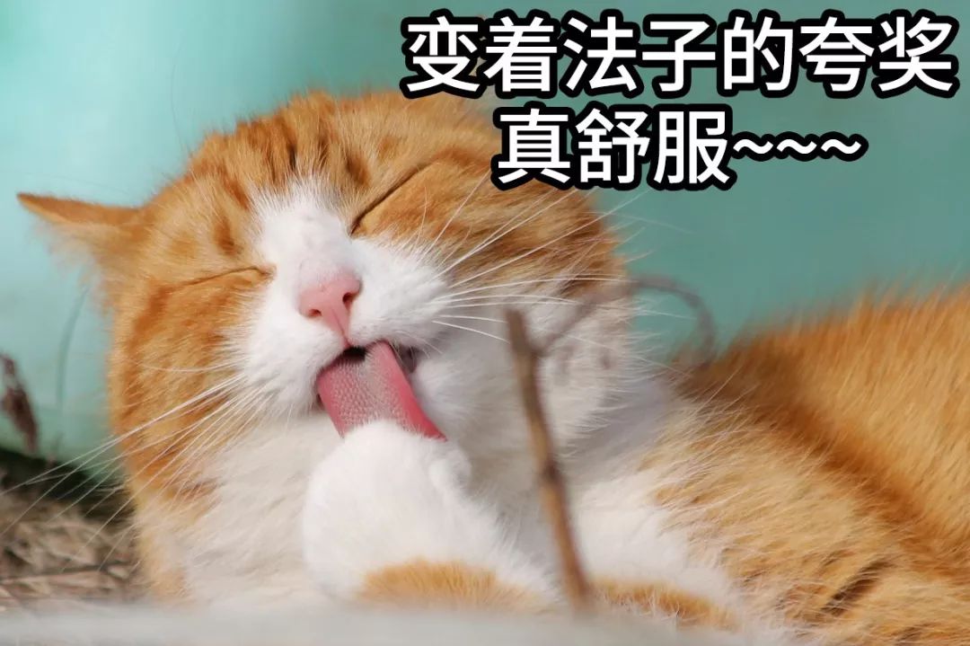 亚洲性夜色九九九久久久