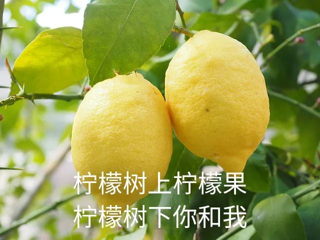 亚洲性夜色九九九久久久