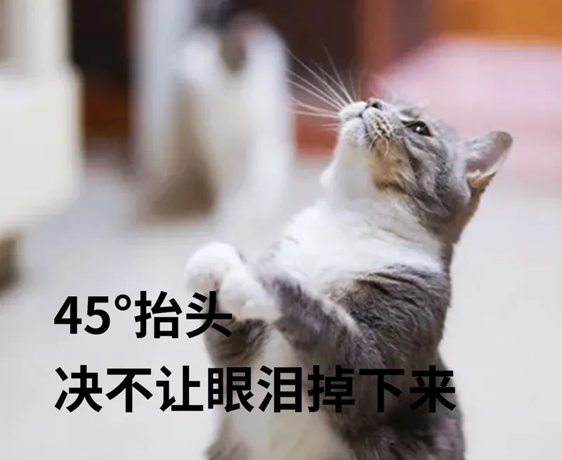 亚洲性夜色九九九久久久