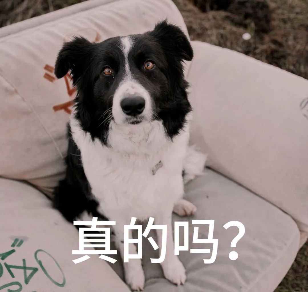 亚洲性夜色九九九久久久