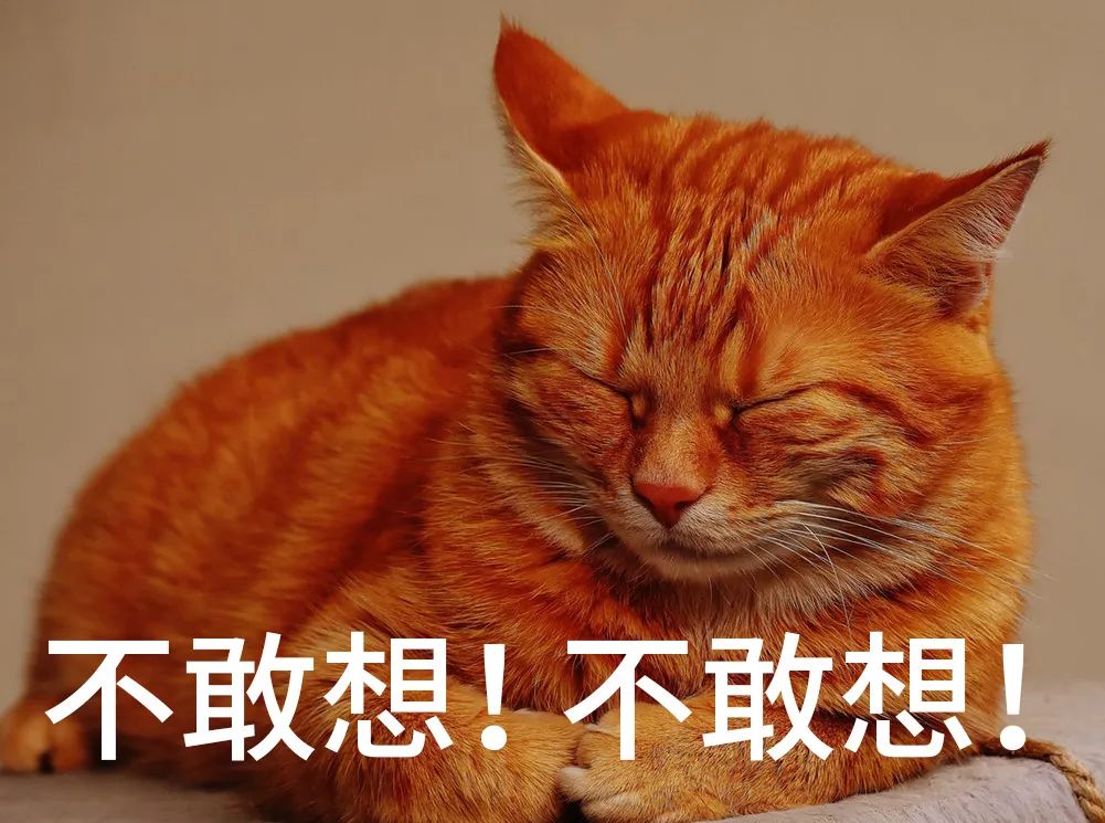 亚洲性夜色九九九久久久