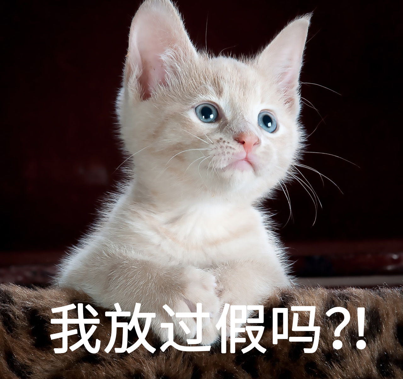 亚洲性夜色九九九久久久