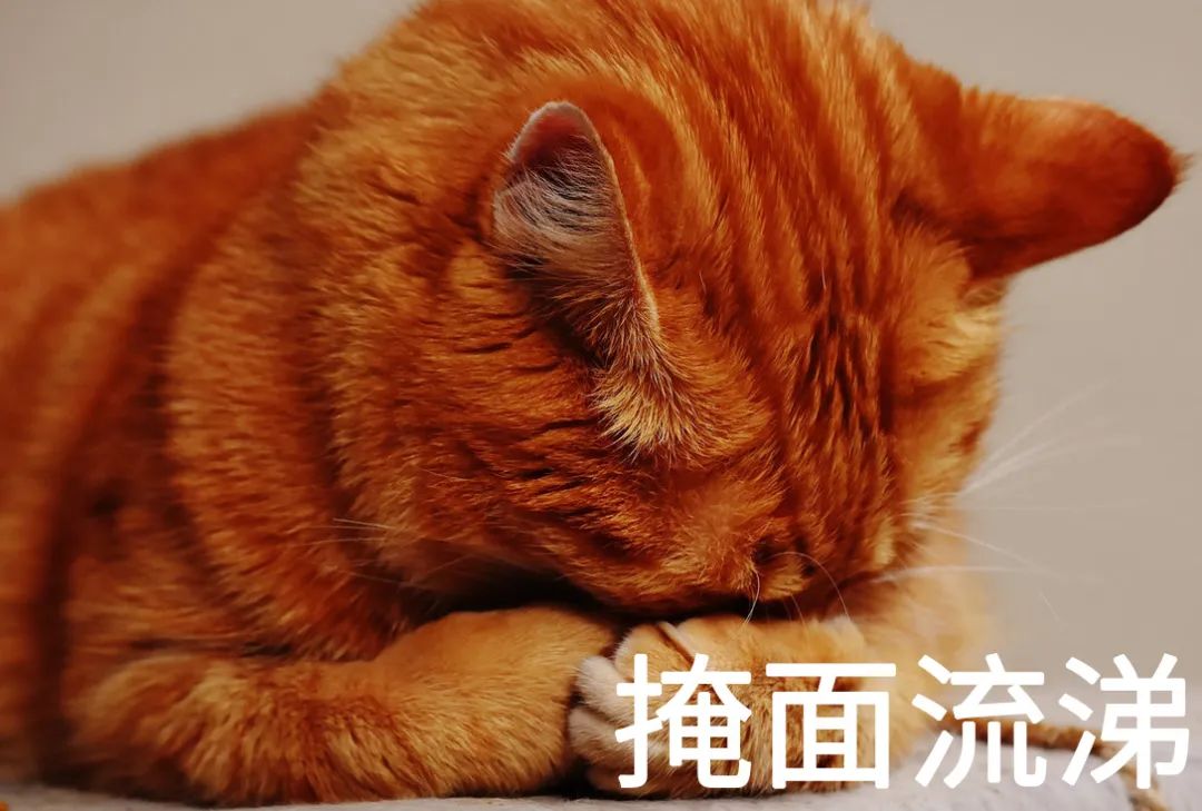 亚洲性夜色九九九久久久