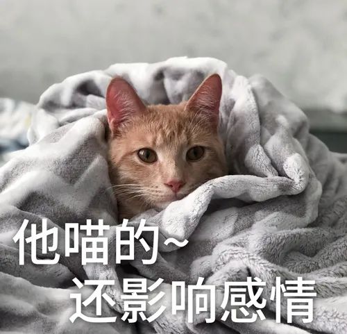 亚洲性夜色九九九久久久