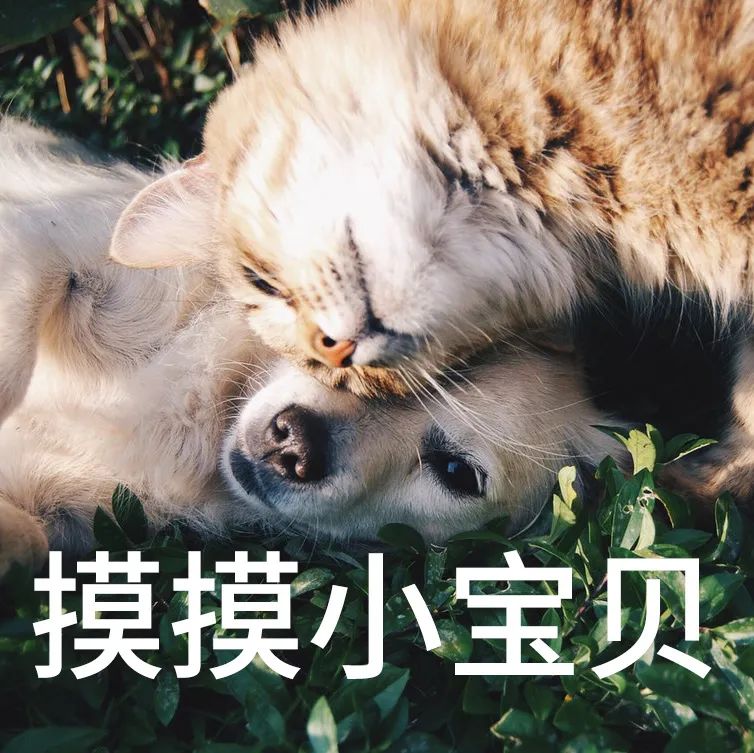 亚洲性夜色九九九久久久