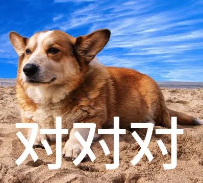 亚洲性夜色九九九久久久
