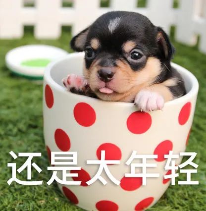 亚洲性夜色九九九久久久