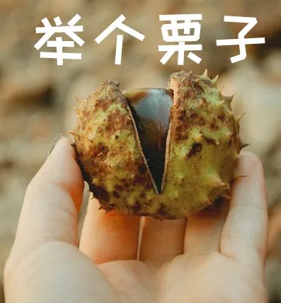 亚洲性夜色九九九久久久
