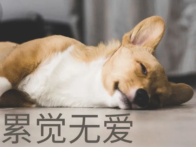 亚洲性夜色九九九久久久
