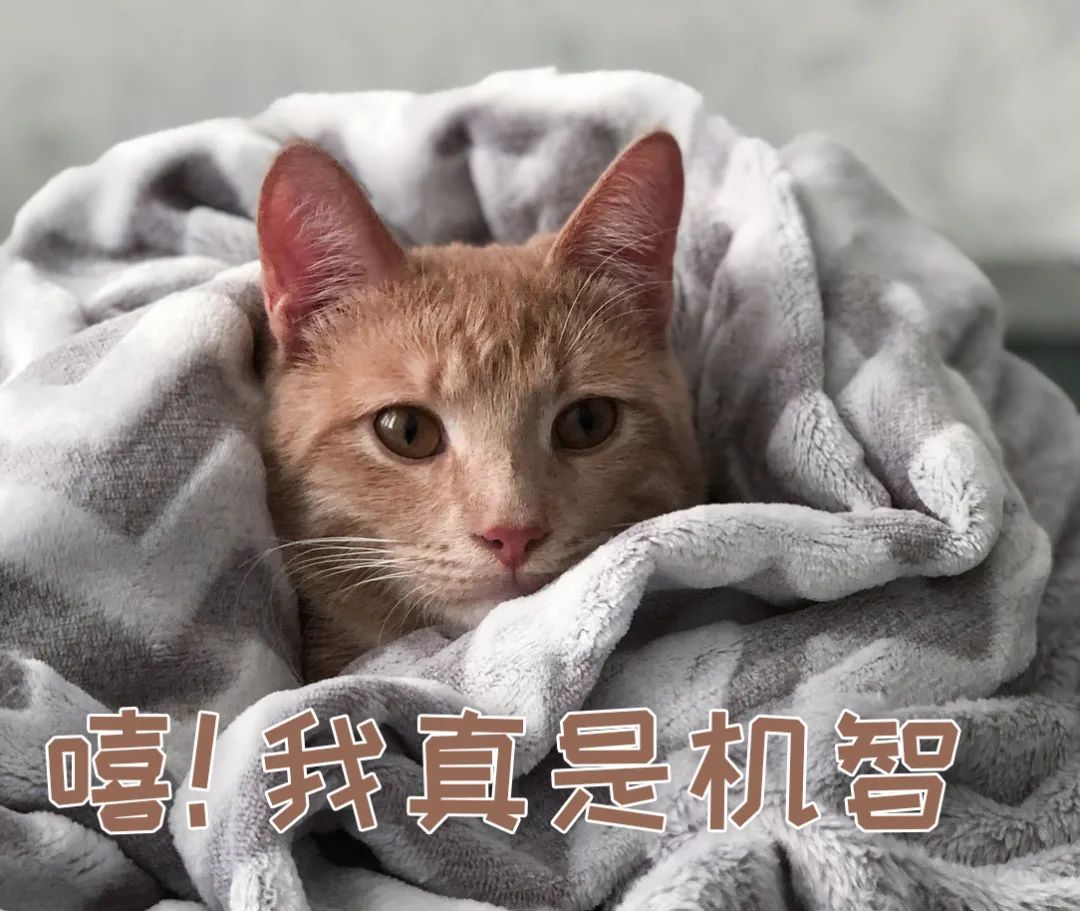 亚洲性夜色九九九久久久