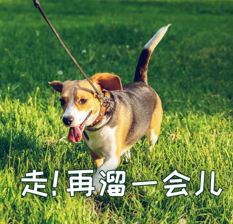 亚洲性夜色九九九久久久