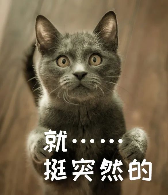 亚洲性夜色九九九久久久