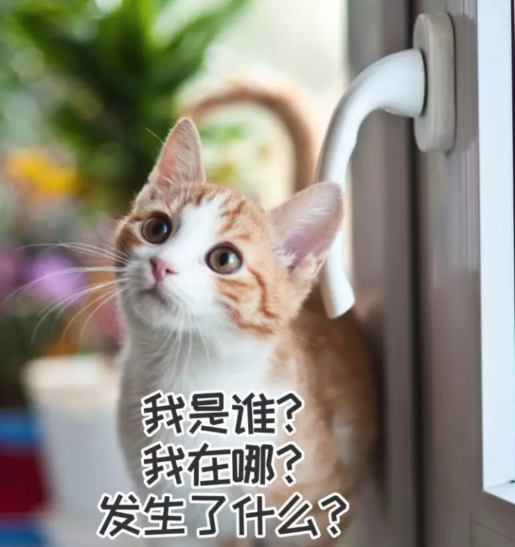 亚洲性夜色九九九久久久