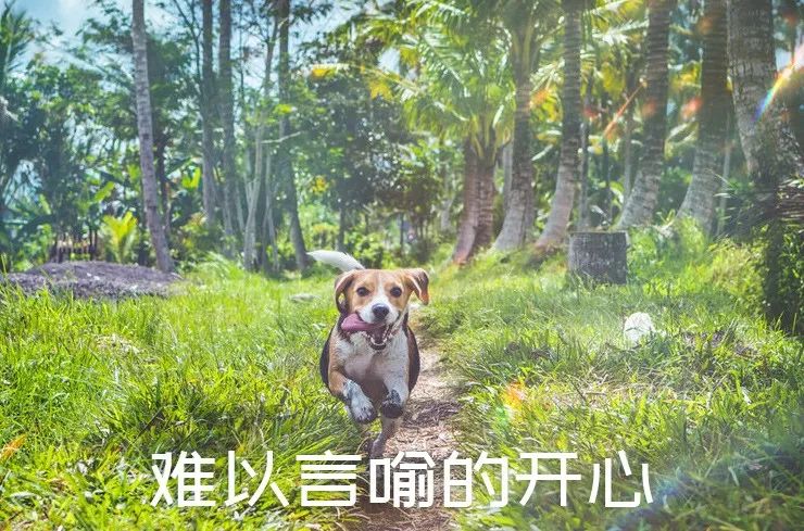 亚洲性夜色九九九久久久