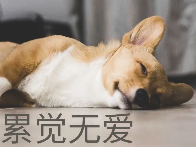 亚洲性夜色九九九久久久