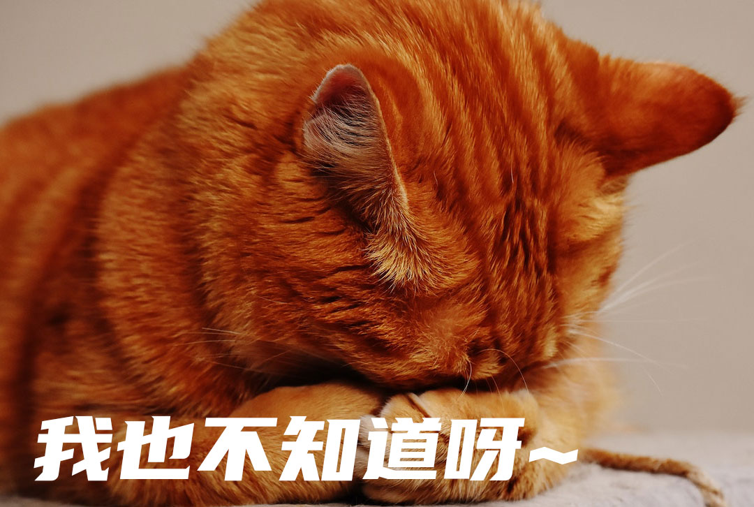 亚洲性夜色九九九久久久