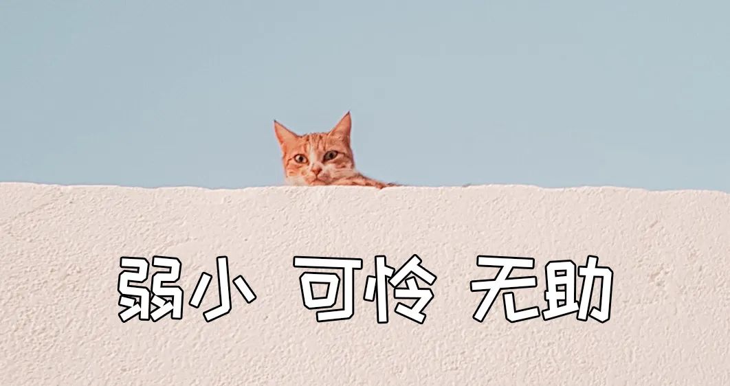 亚洲性夜色九九九久久久