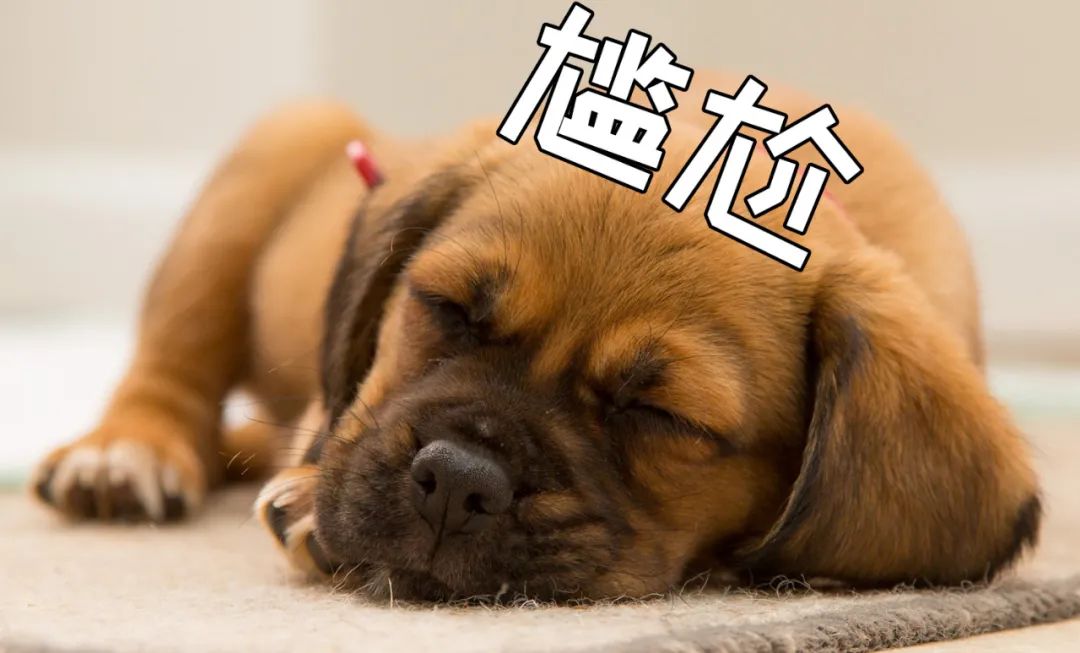 亚洲性夜色九九九久久久