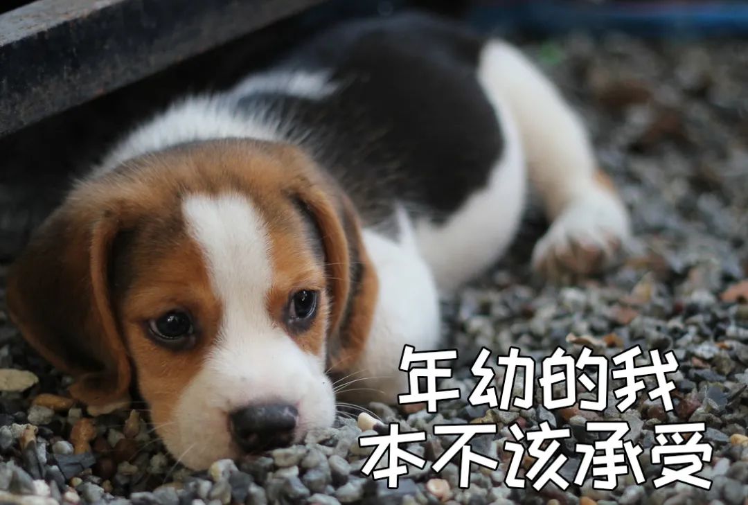 亚洲性夜色九九九久久久