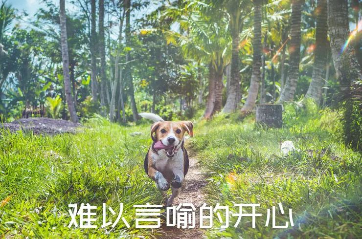 亚洲性夜色九九九久久久