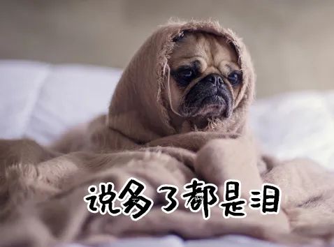 亚洲性夜色九九九久久久