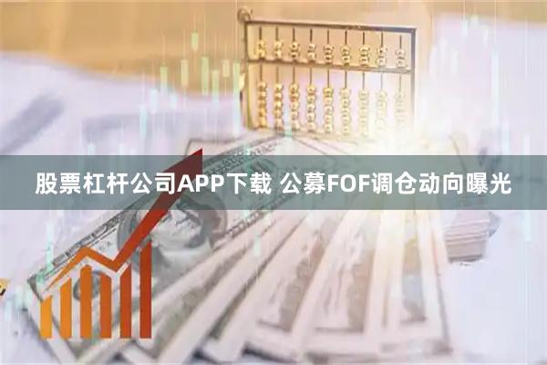 股票杠杆公司APP下载 公募FOF调仓动向曝光