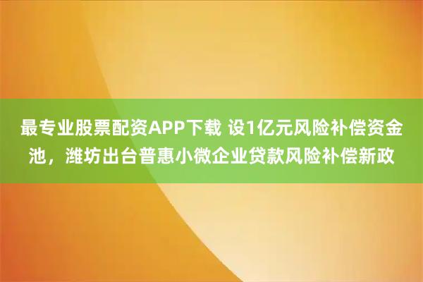 最专业股票配资APP下载 设1亿元风险补偿资金池，潍坊出台普惠小微企业贷款风险补偿新政
