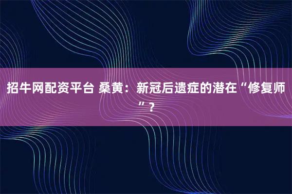招牛网配资平台 桑黄：新冠后遗症的潜在“修复师”？