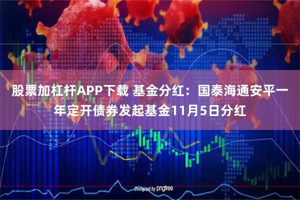 股票加杠杆APP下载 基金分红:国泰海通安平一年定开债券发起基金11月5日分红