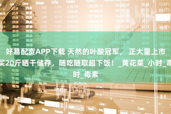 好易配资APP下载 天然的叶酸冠军， 正大量上市，买20斤晒干储存，随吃随取超下饭！_黄花菜_小时_毒素