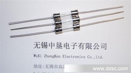 【企业集采】保护器件5.2x20mm陶瓷管保险丝
