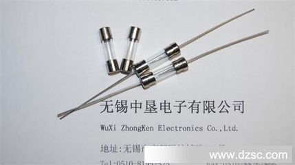 【企业集采】保护器件现货BS1362/13A陶瓷电流保险丝管