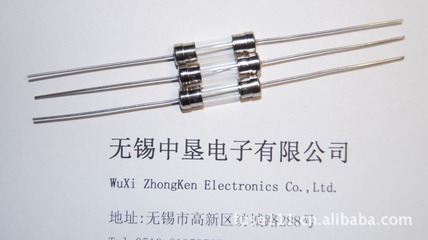 【企业集采】保护器件供应5.2x20mm陶瓷管保险丝 - 【企业集采】保护器件供应5.2x20mm陶瓷管保险丝厂家 - 【企业集采】保护器件供应5.2x20mm陶瓷管保险丝价格 - 旺铺1 - 