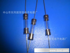 厂家供应电流保险管5 20mm保险丝 各种陶瓷保险管 保险丝