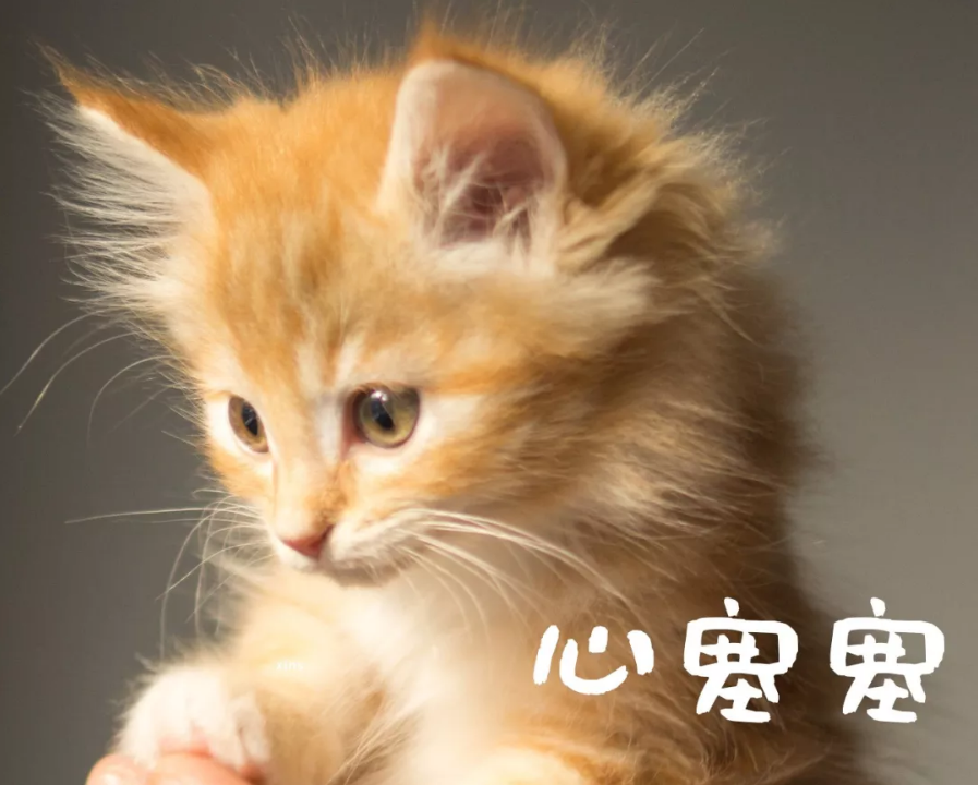 亚洲性夜色九九九久久久
