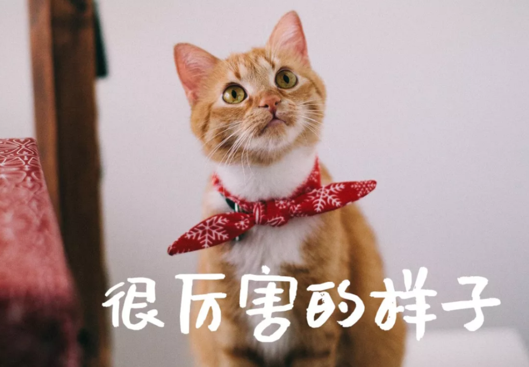 亚洲性夜色九九九久久久